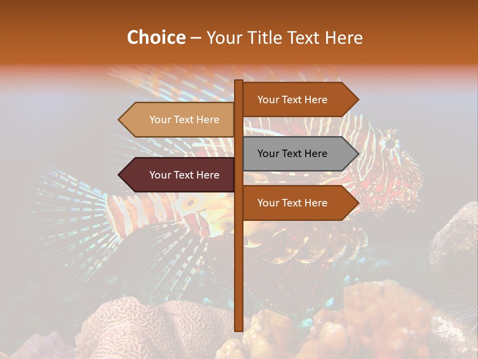 Red Lion Fish PowerPoint Template