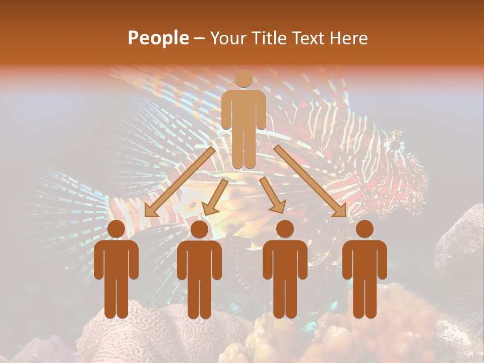 Red Lion Fish PowerPoint Template