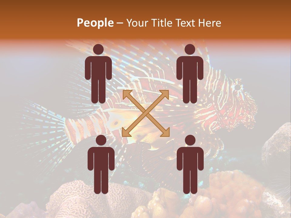 Red Lion Fish PowerPoint Template