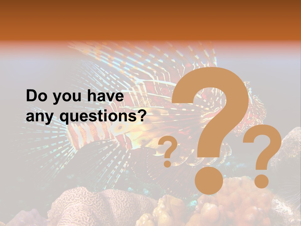 Red Lion Fish PowerPoint Template