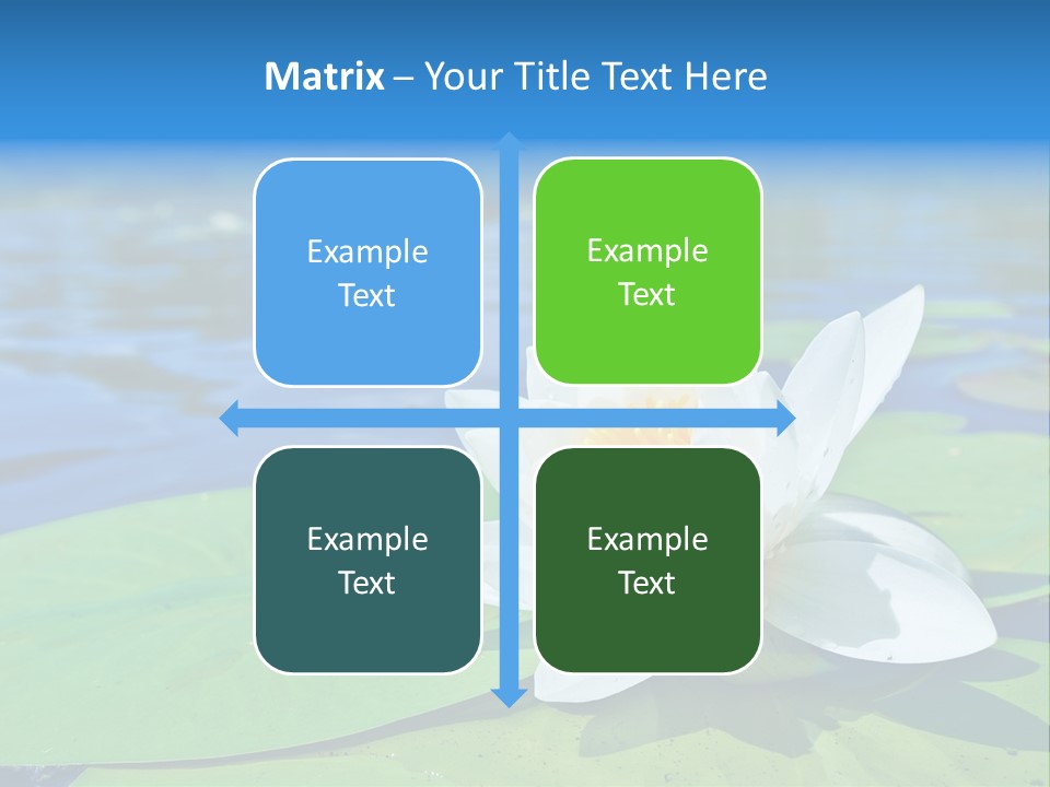 Water Lily PowerPoint Template