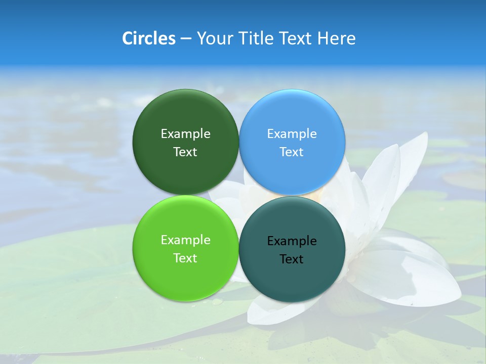 Water Lily PowerPoint Template