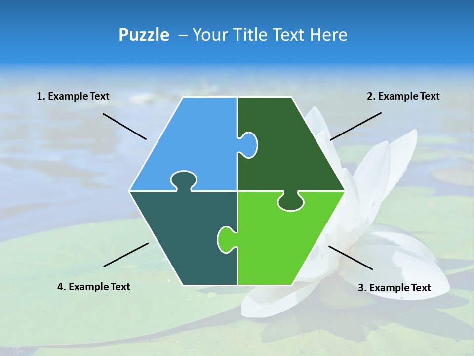 Water Lily PowerPoint Template