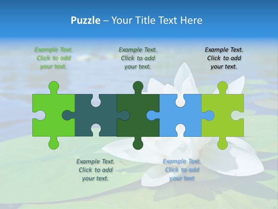 Water Lily PowerPoint Template