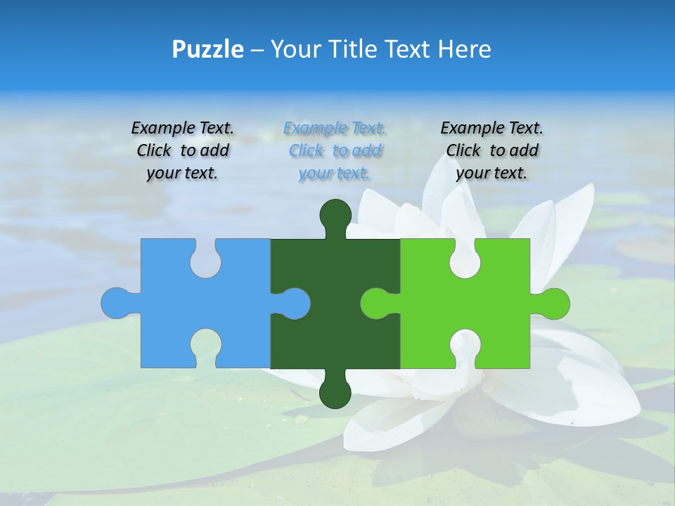 Water Lily PowerPoint Template