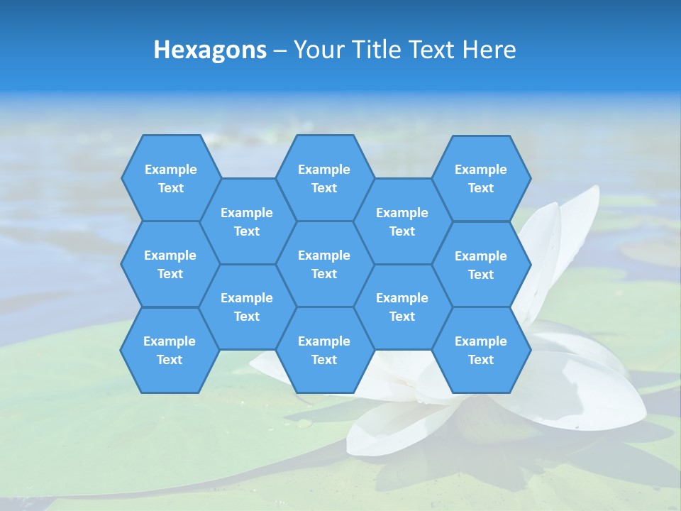 Water Lily PowerPoint Template