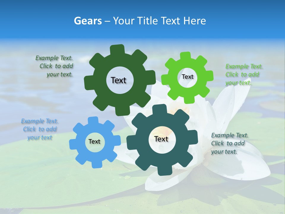 Water Lily PowerPoint Template