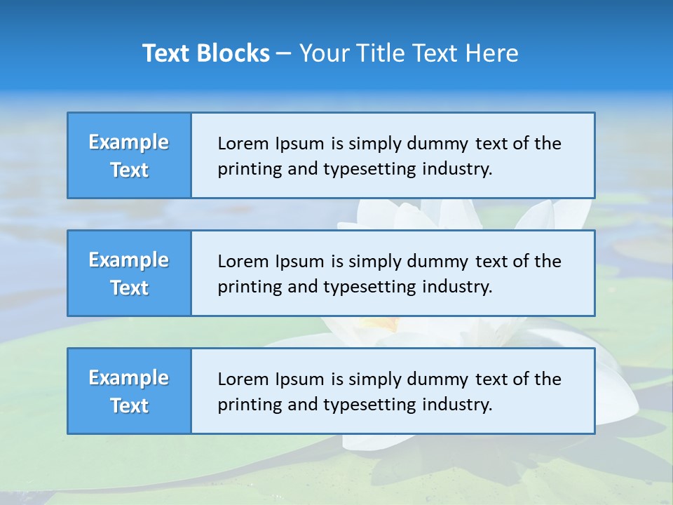 Water Lily PowerPoint Template