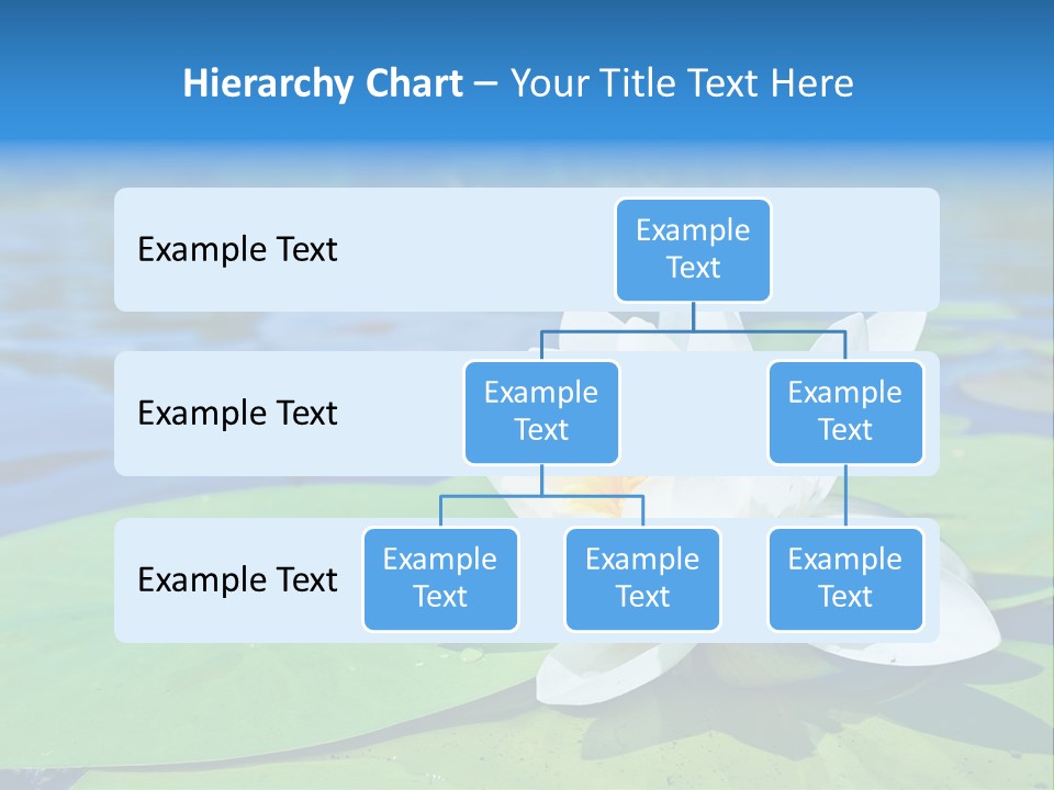 Water Lily PowerPoint Template