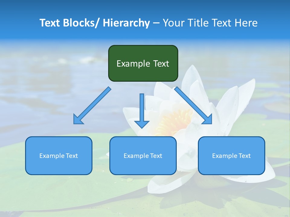 Water Lily PowerPoint Template