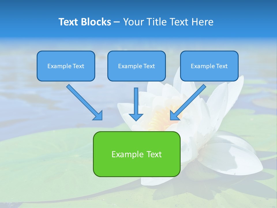 Water Lily PowerPoint Template