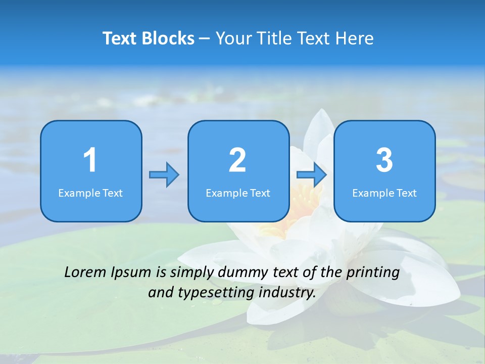 Water Lily PowerPoint Template
