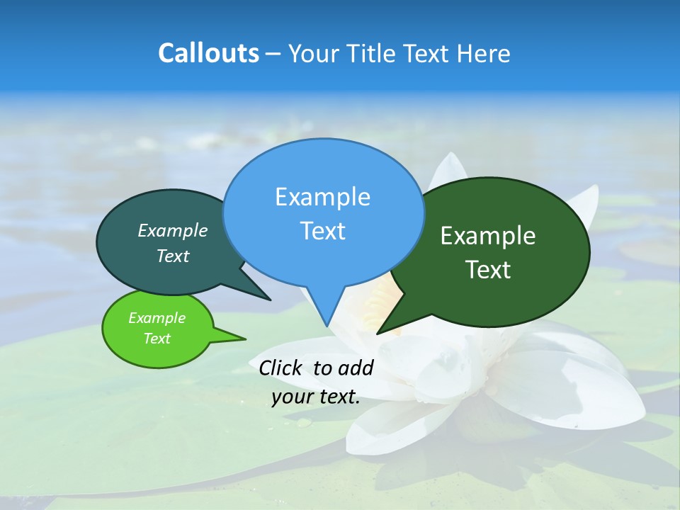 Water Lily PowerPoint Template