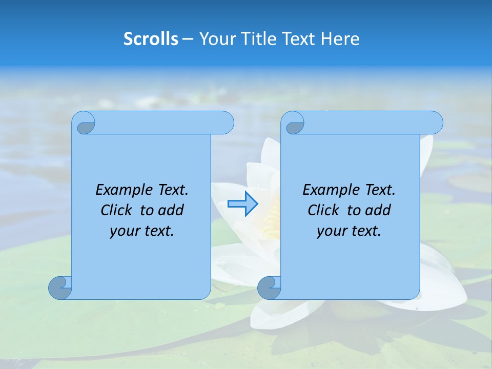 Water Lily PowerPoint Template