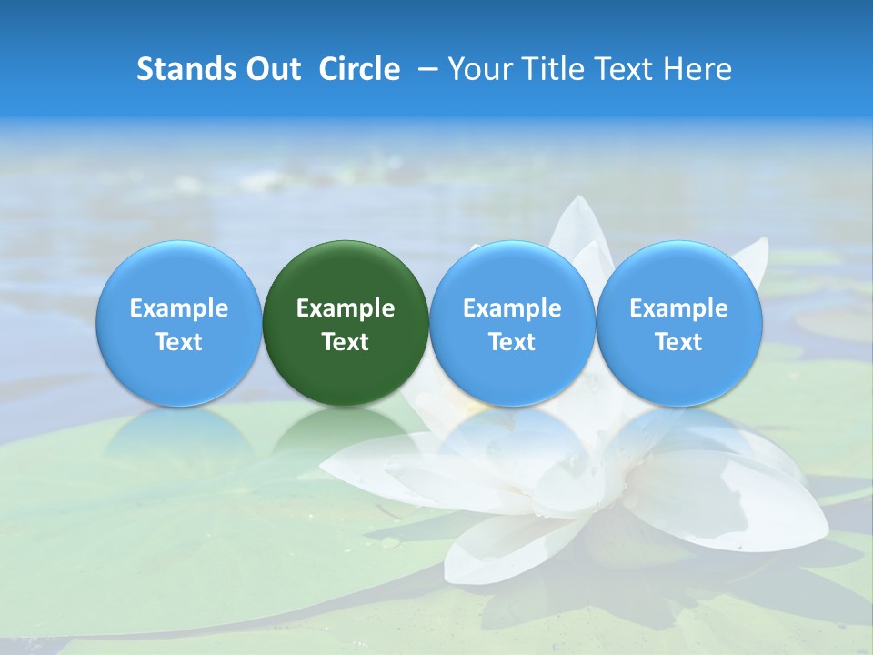 Water Lily PowerPoint Template
