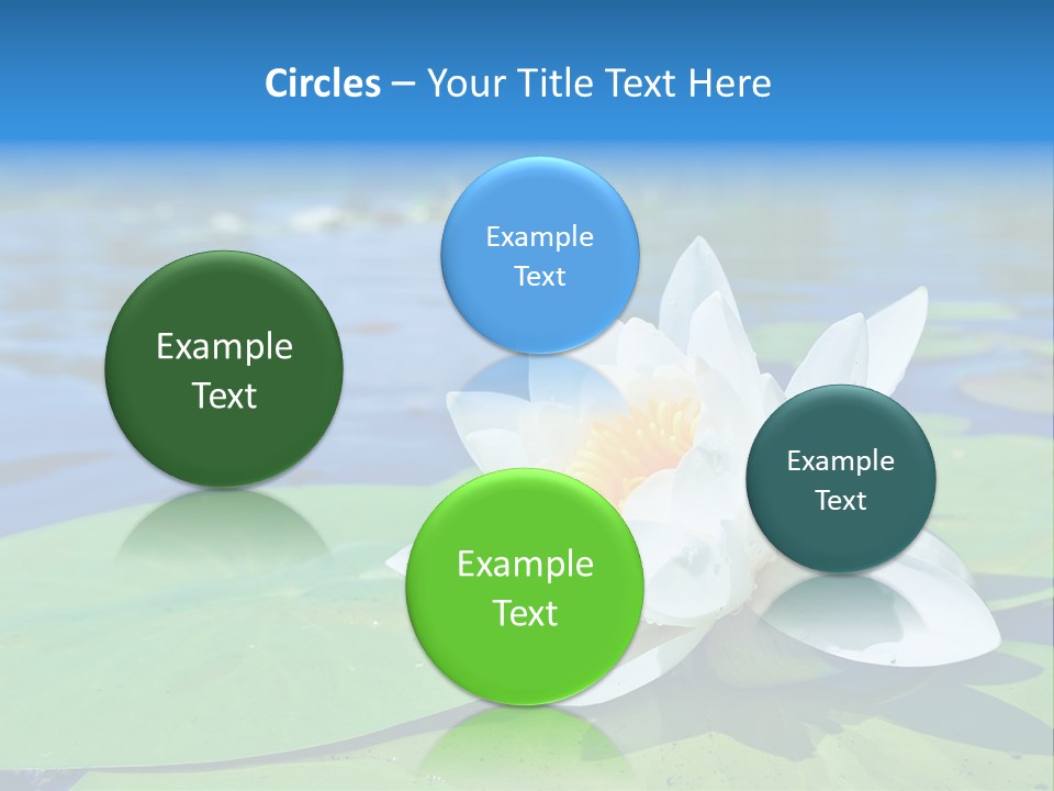 Water Lily PowerPoint Template