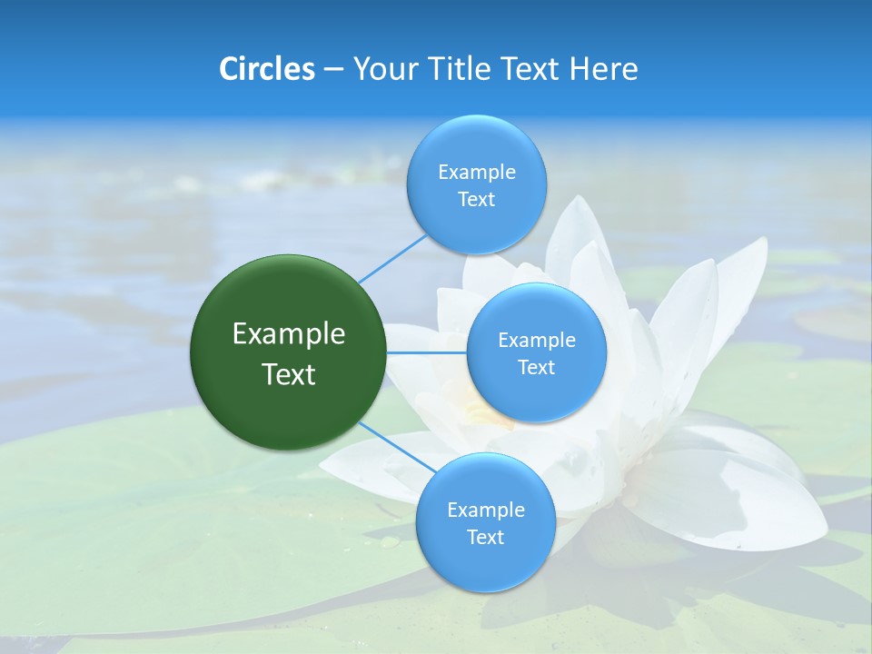 Water Lily PowerPoint Template