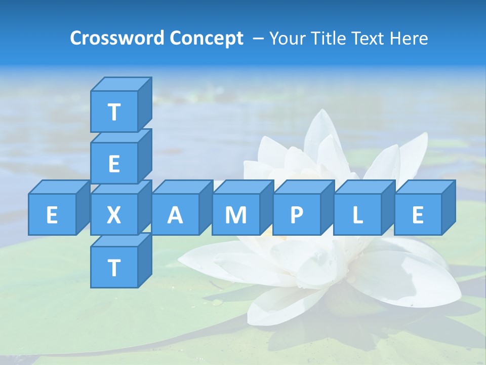 Water Lily PowerPoint Template