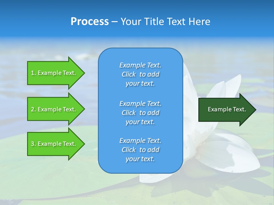 Water Lily PowerPoint Template