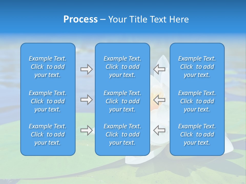 Water Lily PowerPoint Template
