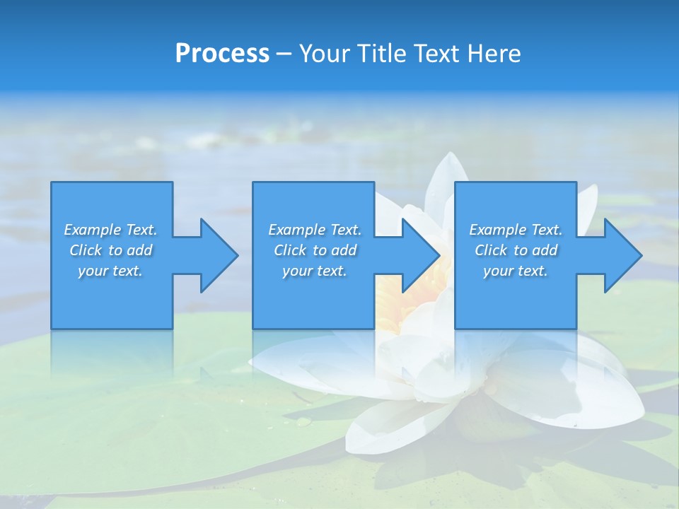 Water Lily PowerPoint Template
