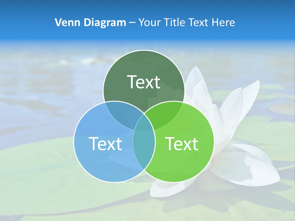 Water Lily PowerPoint Template