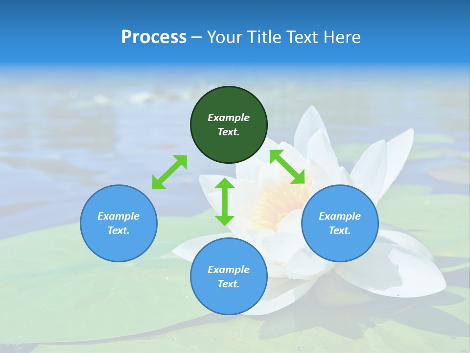 Water Lily PowerPoint Template