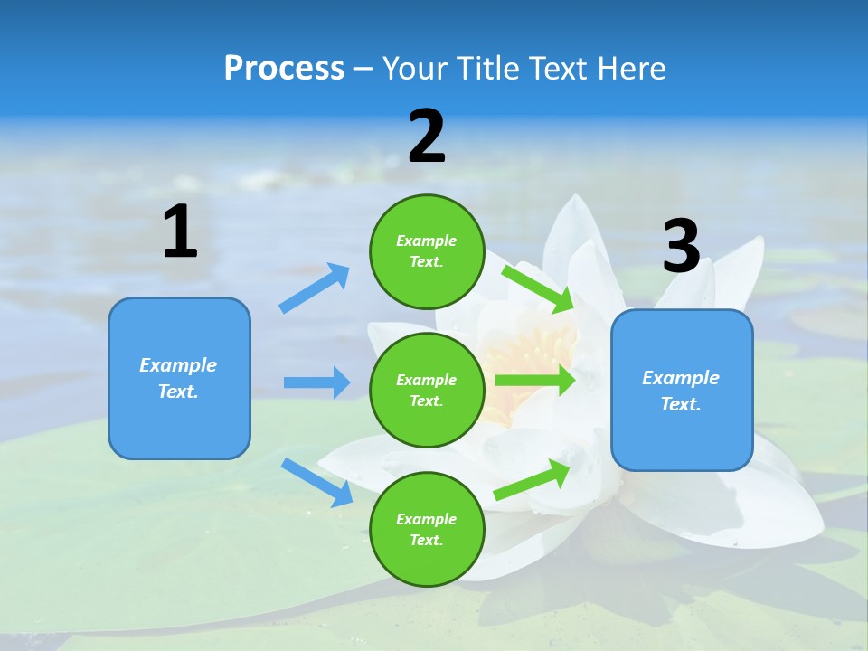Water Lily PowerPoint Template