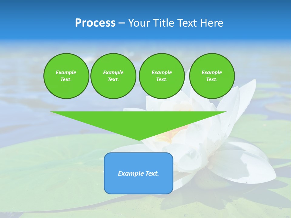 Water Lily PowerPoint Template