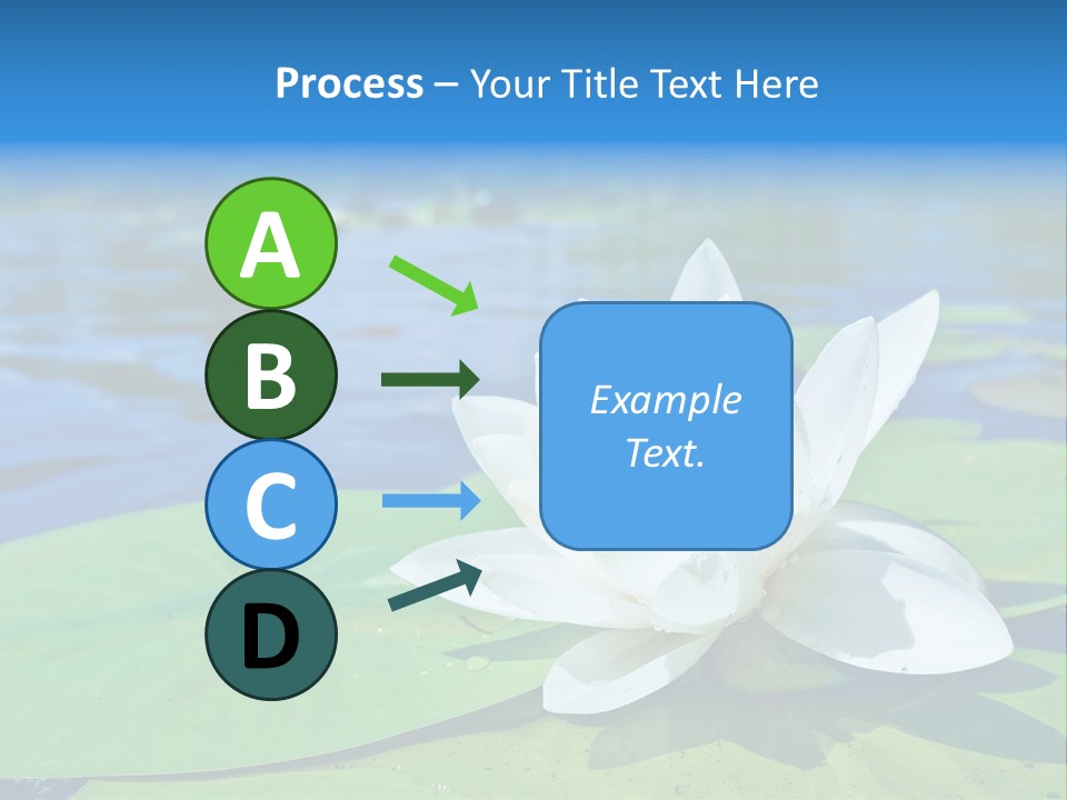 Water Lily PowerPoint Template