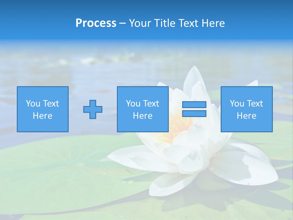 Water Lily PowerPoint Template