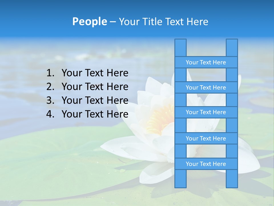 Water Lily PowerPoint Template