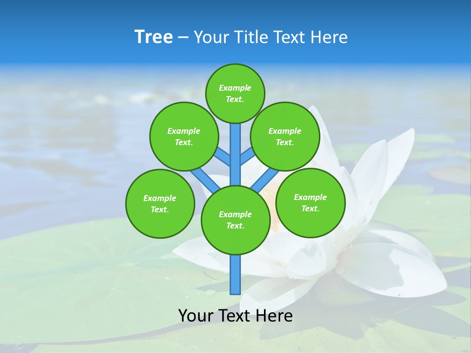 Water Lily PowerPoint Template