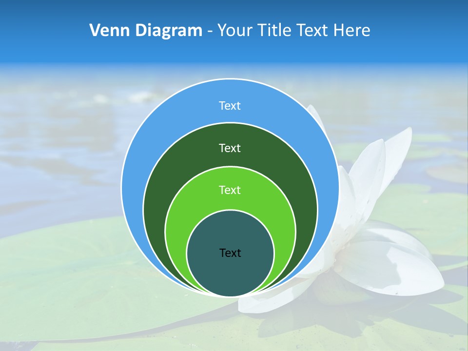 Water Lily PowerPoint Template