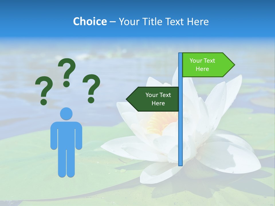 Water Lily PowerPoint Template