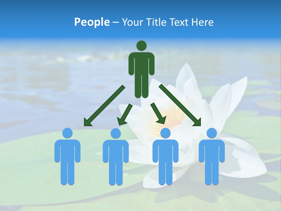Water Lily PowerPoint Template