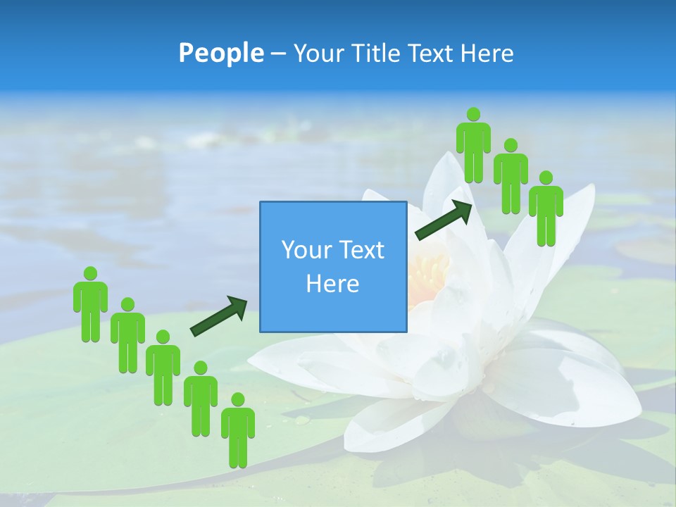 Water Lily PowerPoint Template