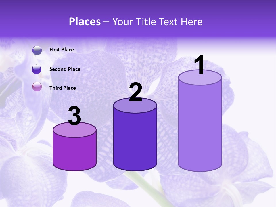 Beautiful Flowers Hd PowerPoint Template