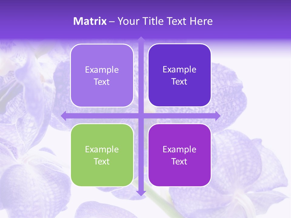 Beautiful Flowers Hd PowerPoint Template