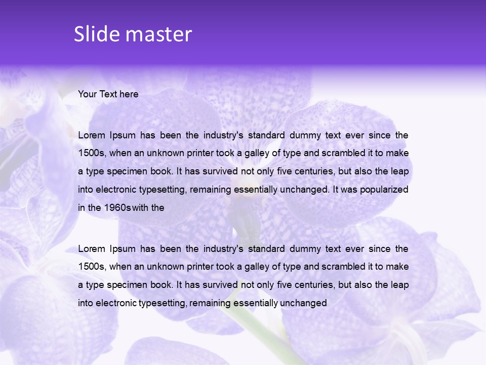 Beautiful Flowers Hd PowerPoint Template