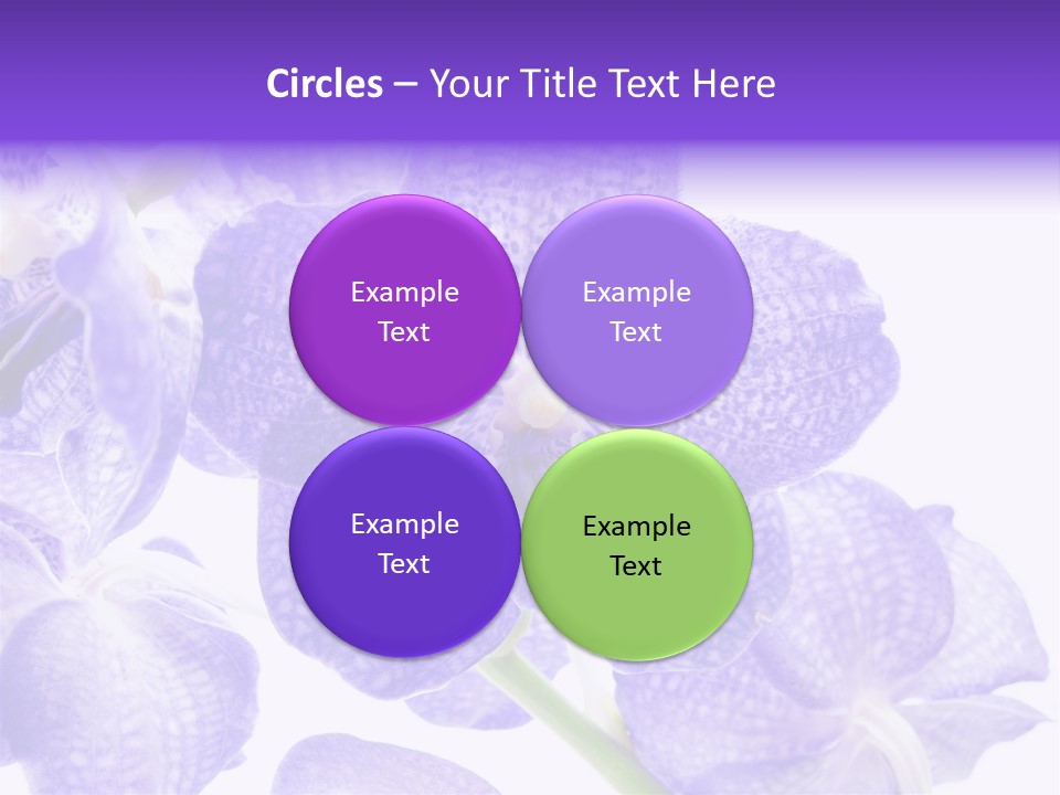 Beautiful Flowers Hd PowerPoint Template