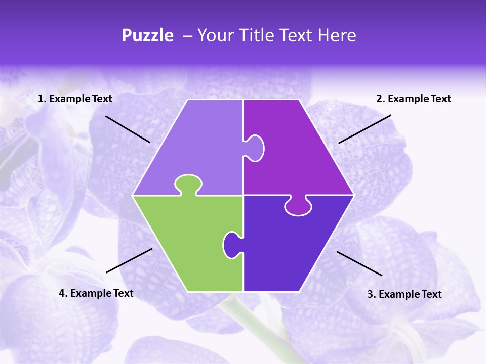 Beautiful Flowers Hd PowerPoint Template