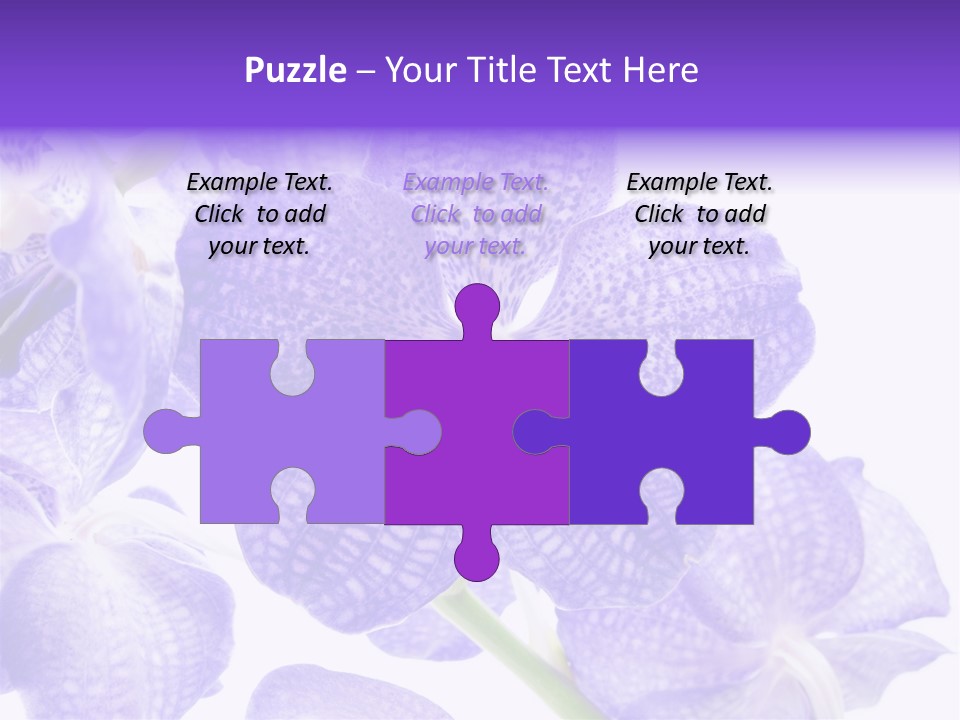 Beautiful Flowers Hd PowerPoint Template