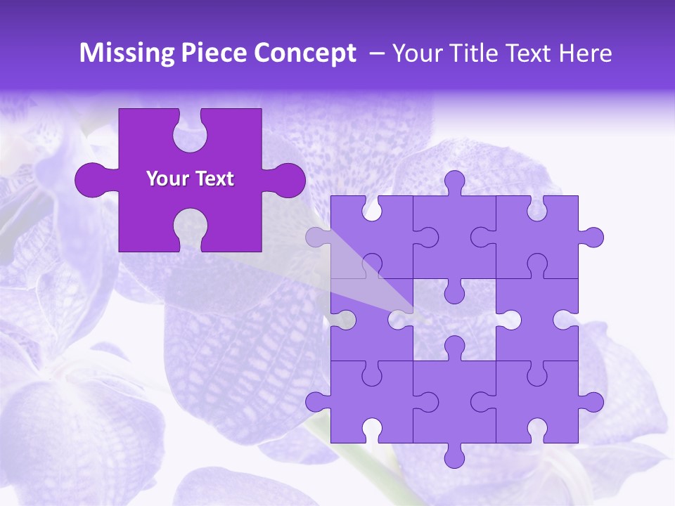 Beautiful Flowers Hd PowerPoint Template