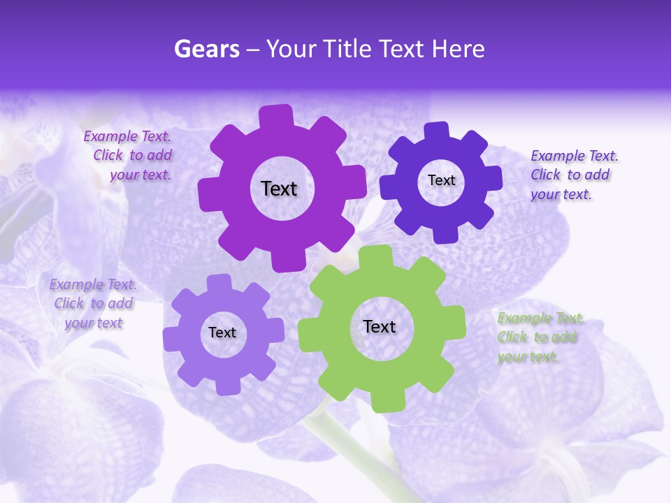 Beautiful Flowers Hd PowerPoint Template