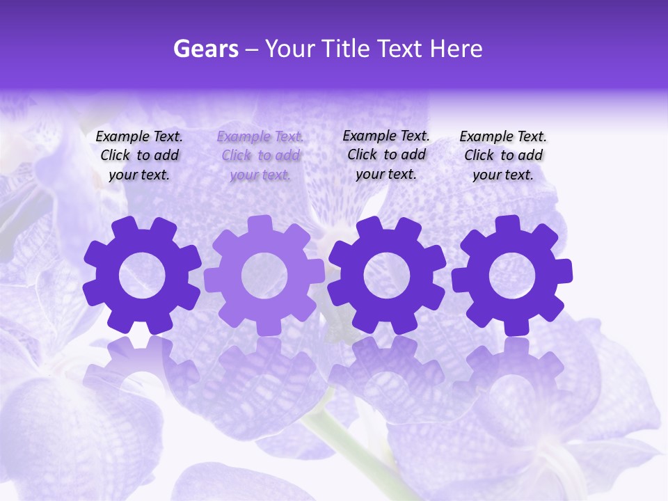 Beautiful Flowers Hd PowerPoint Template