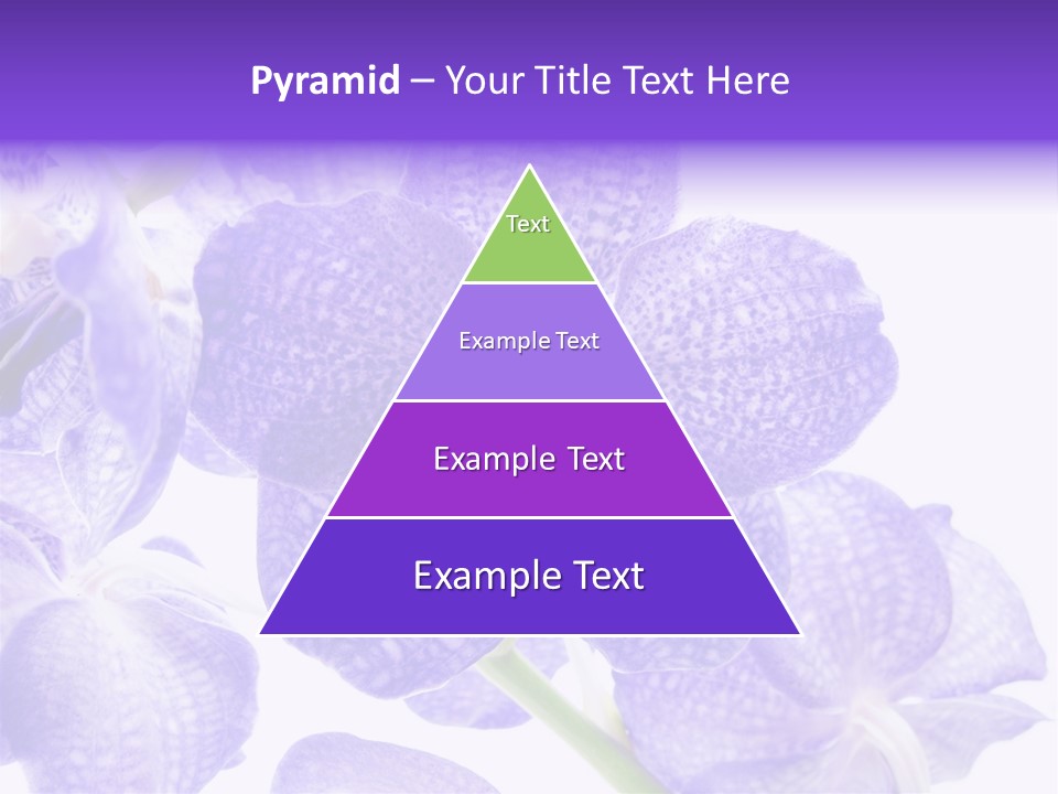 Beautiful Flowers Hd PowerPoint Template