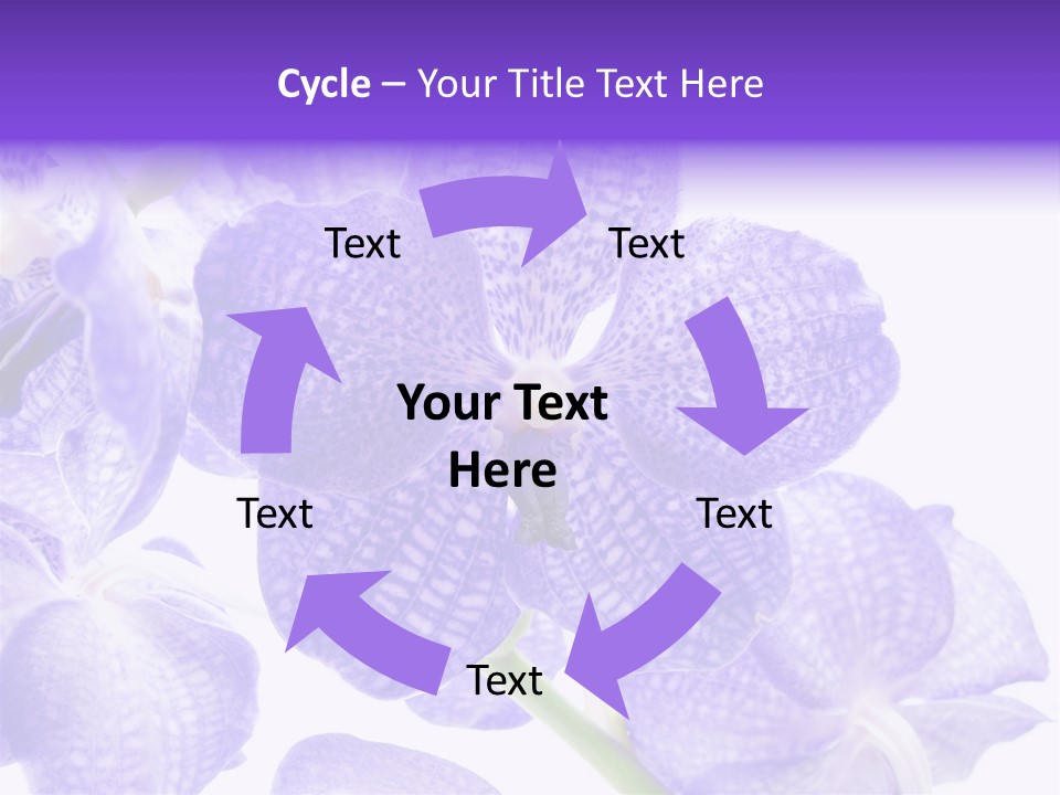 Beautiful Flowers Hd PowerPoint Template