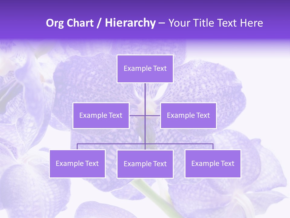 Beautiful Flowers Hd PowerPoint Template