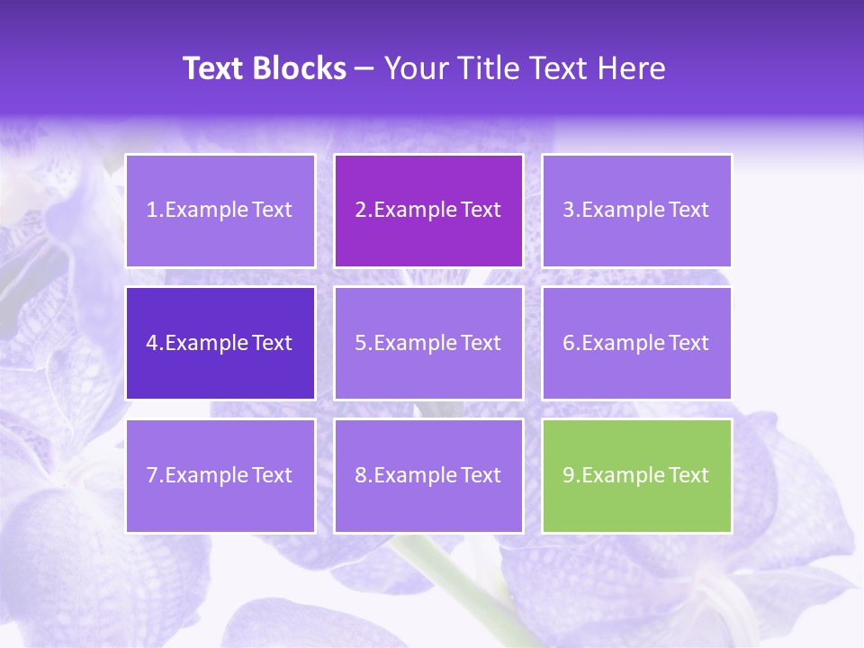 Beautiful Flowers Hd PowerPoint Template